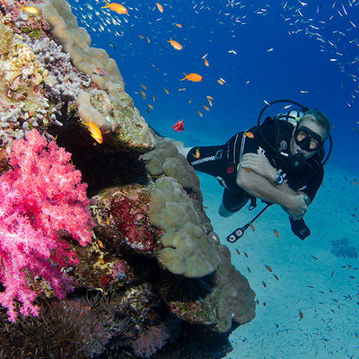 LIVEABOARD 4 days / 3 nights - Koh Bon, Tachai, Surin Islands & Richelieu Rock